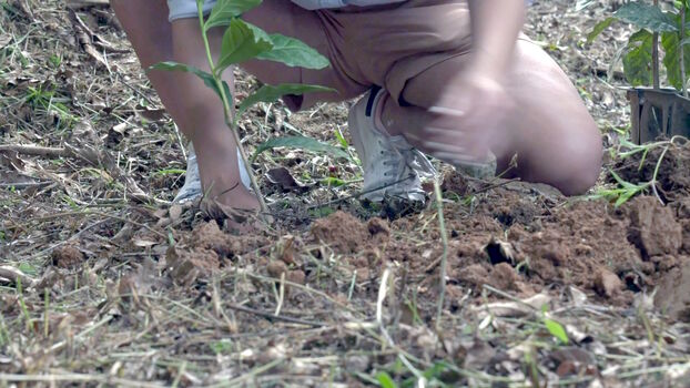 Alexandria Ocasio-Cortez