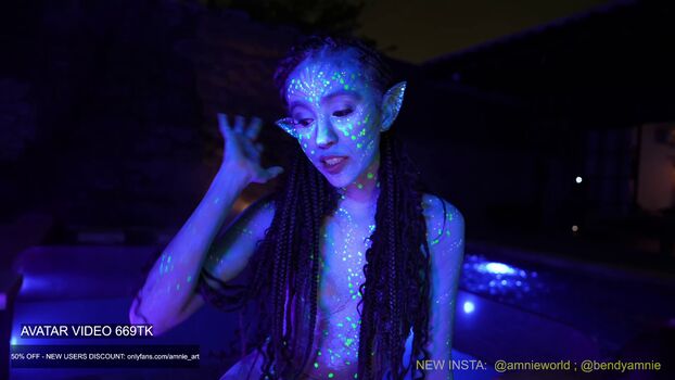 amniemodel