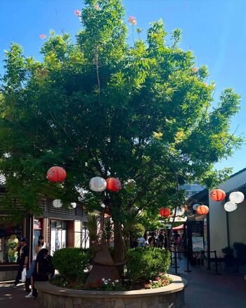 Full leaked Bunnirue private onlyfans photo