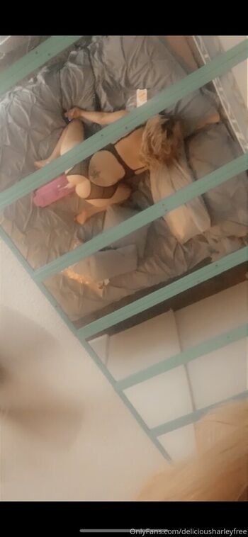 calisunkisseddreamfree