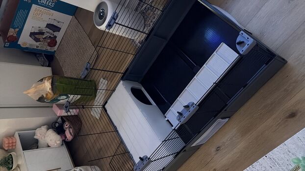 Full leaked Dahnikz private onlyfans photo