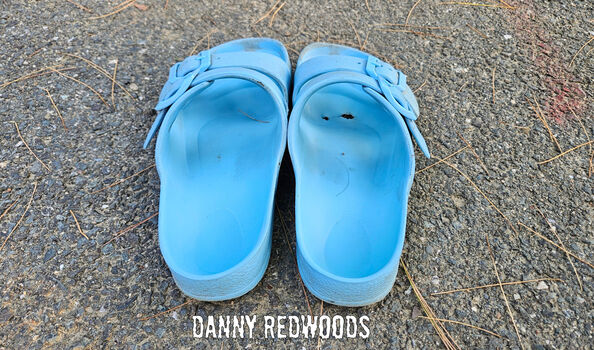 dannyredwoods
