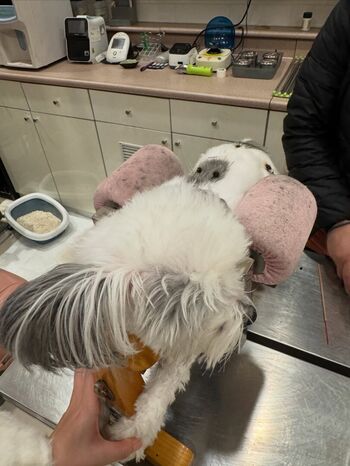 Full leaked Heather vahn/ private onlyfans photo