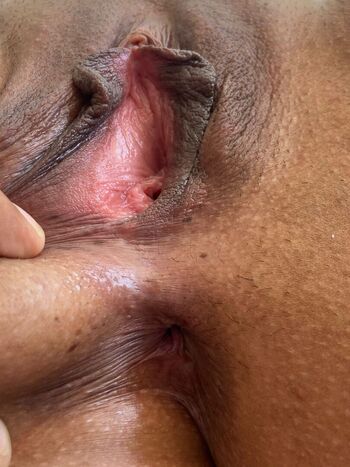 Exibam Sua Companheira