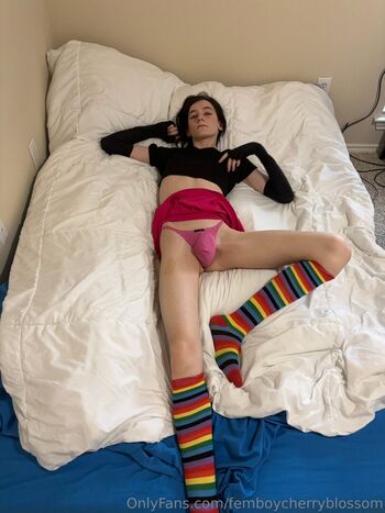 femboycherryblossom