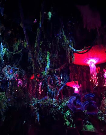 Full leaked Hirai momo private onlyfans photo