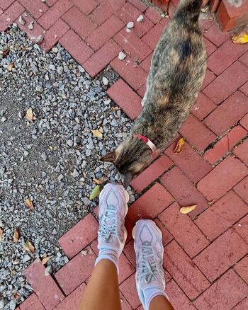 Full leaked Josie daltorio private onlyfans photo