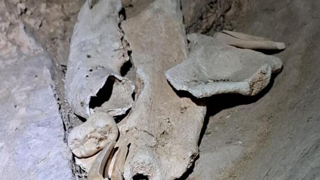 Full leaked Laurenspenceruk private onlyfans photo