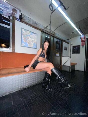 lilyrose.vibes