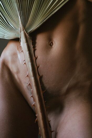 Full leaked Linartica private onlyfans photo