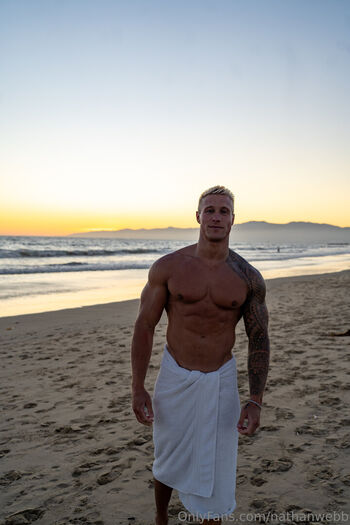 nathanwebb