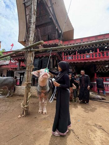 Full leaked Oklinfia page private onlyfans photo