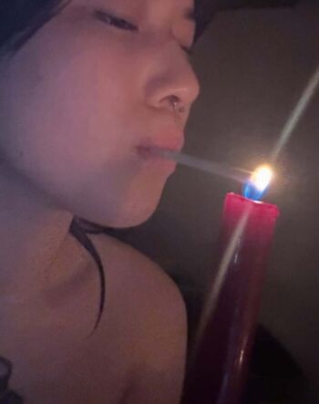 p6rvert / oggyuan / yuyu