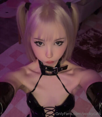 Pockycats