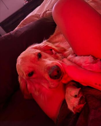 Roxanne Perez/Rok-C - WWE NXT