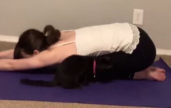 Full leaked Seraphinathealien private onlyfans photo