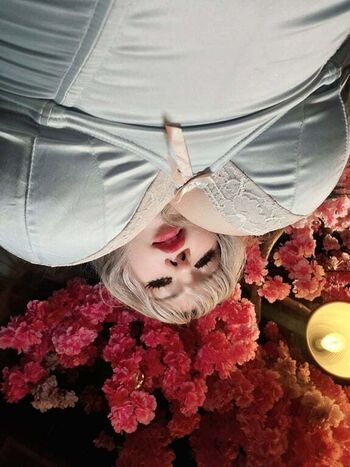 Shichineesan / Pomponmy