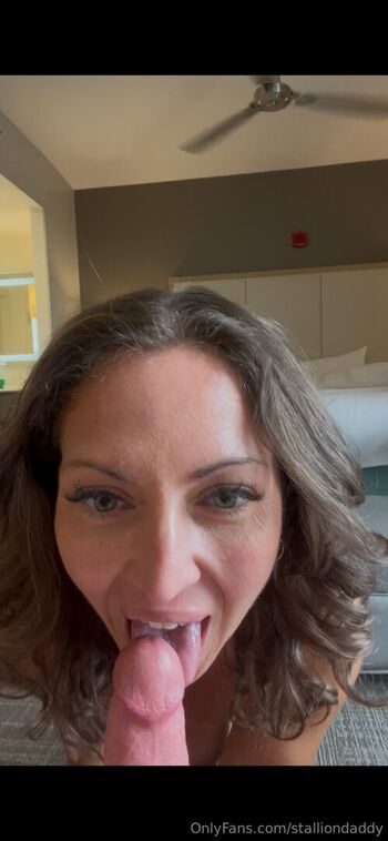 stalliondaddy