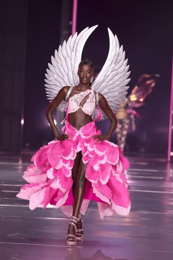Full leaked Victoria s secret angels page private onlyfans photo