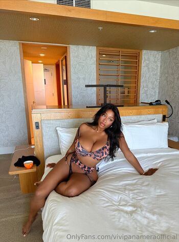 Vivipanameraofficial