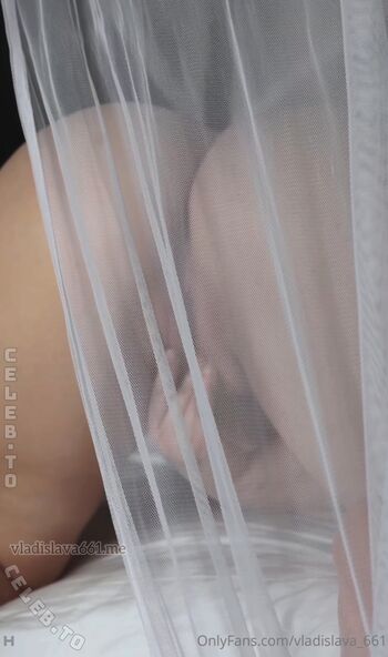 Vladislava Shelygina