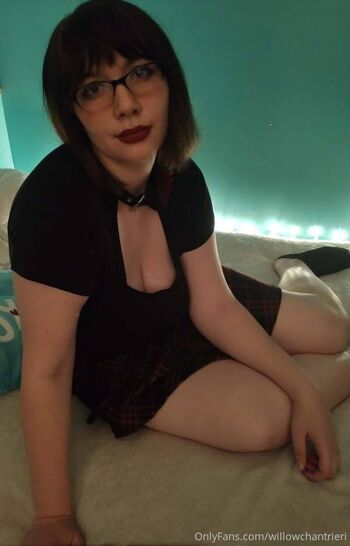 willowchantrieri