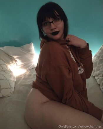 willowchantrieri