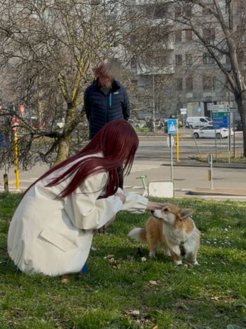 Full leaked Kyso lo / private onlyfans photo