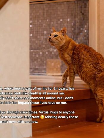 Full leaked Foxyjshon private onlyfans photo